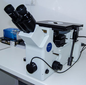 Stereomikroskop