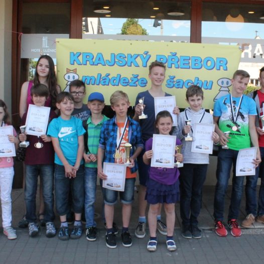 Rozhovor s místopředsedou Šachové akademie VŠTE
