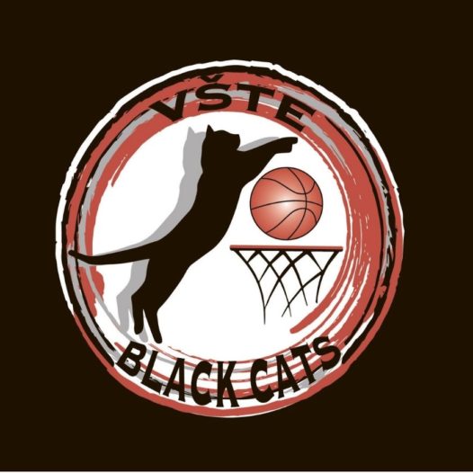 We are setting up a women’s basketball team Black Cats and we are looking just for you!