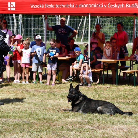 Do cíle vedlo třináct soutěžních stanovišť. Děti si s nimi na VŠTE hravě poradily, odměnou jim byl diplom a buřtík