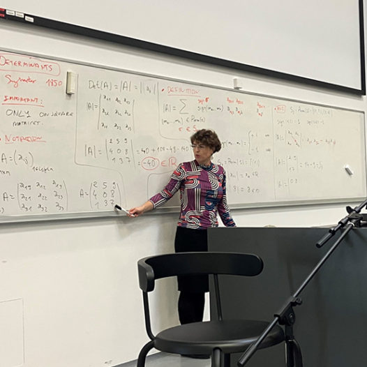 VŠTE navštívila profesorka matematiky a odbornice na diferenciální geometrii ze Španělska