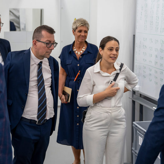 VŠTE hostila Mezinárodní evaluační panel: Hodnotil výzkum, vývoj a inovace